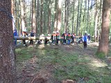 Maibaum_2016 (49).JPG